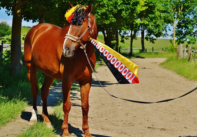 俱乐部更愿 俱乐部更愿