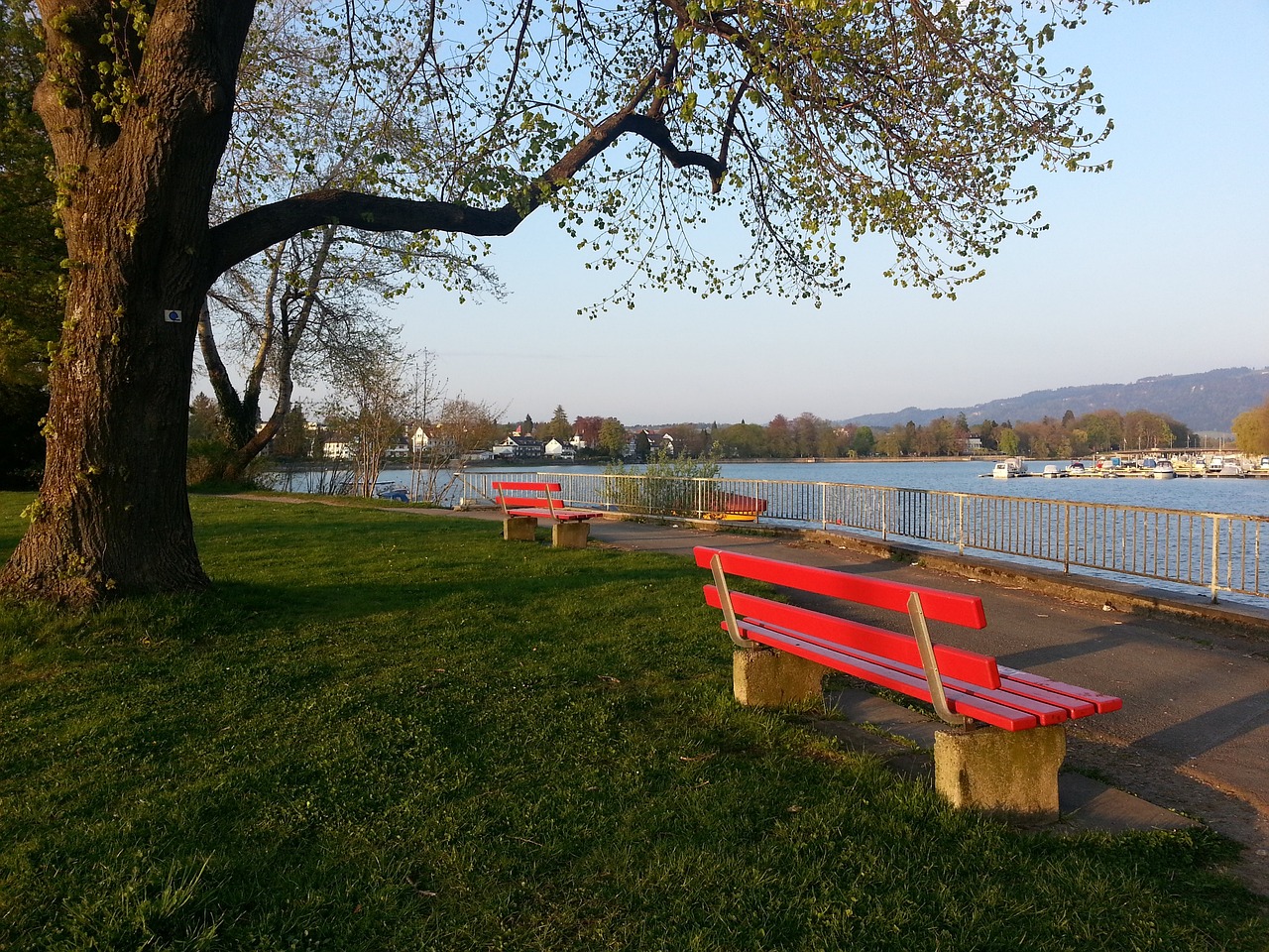 强队的对决 强队的对决