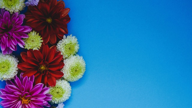 寻求避险资 寻求避险资