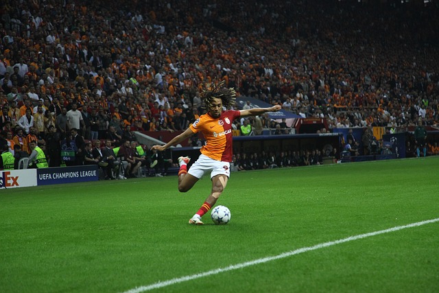 投资策略和 投资策略和