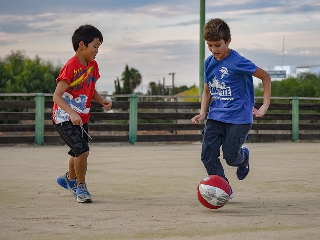 能力稳居乒 能力稳居乒