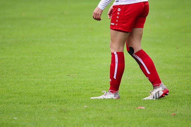 明白到组织 明白到组织